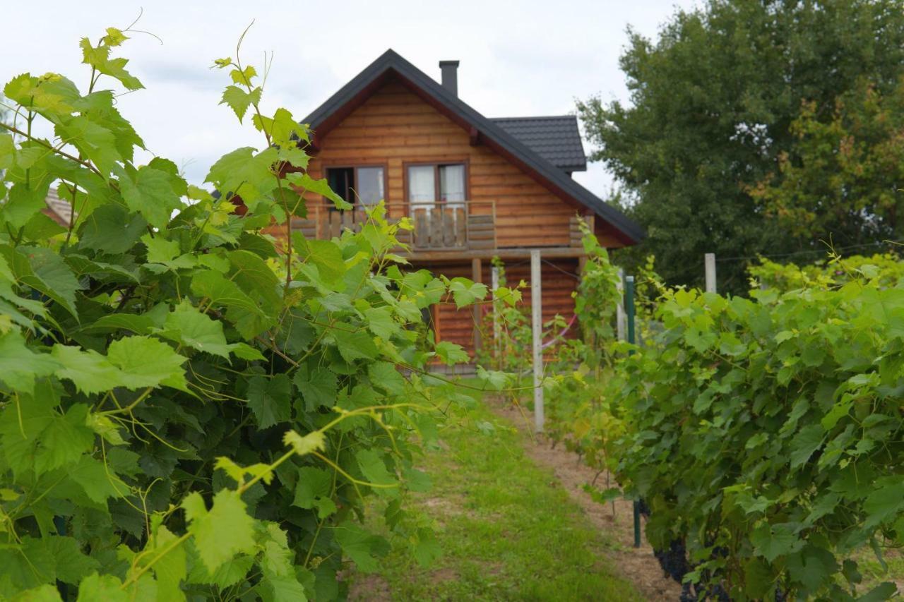 Dom Pachnacy Zywica Villa บอชเนีย ภายนอก รูปภาพ