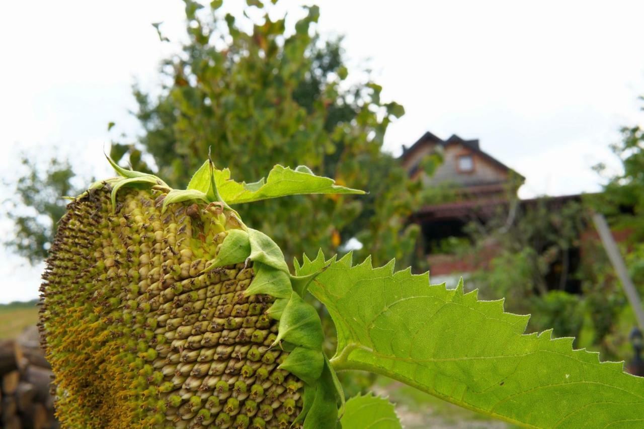 Dom Pachnacy Zywica Villa บอชเนีย ภายนอก รูปภาพ