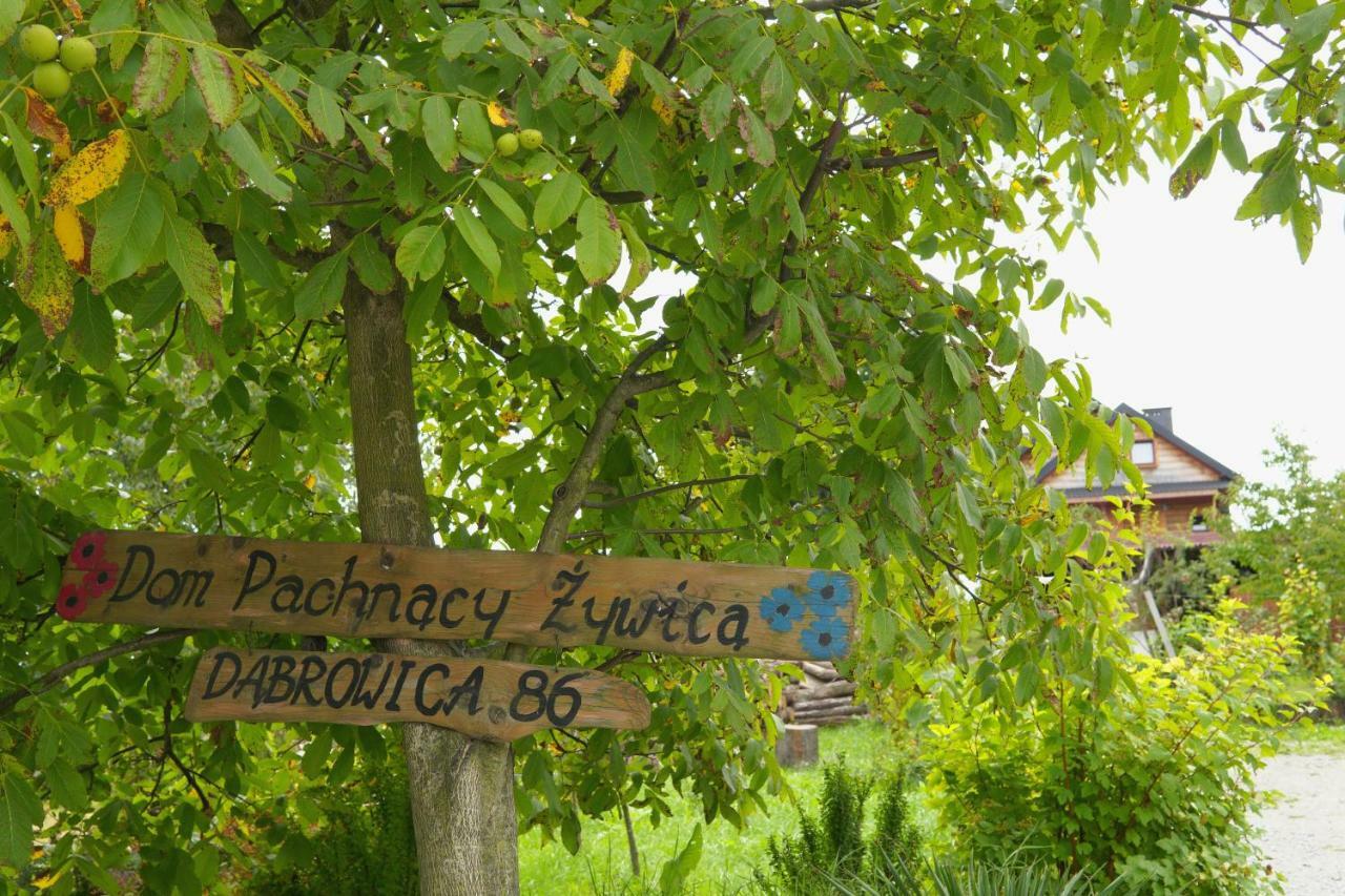 Dom Pachnacy Zywica Villa บอชเนีย ภายนอก รูปภาพ